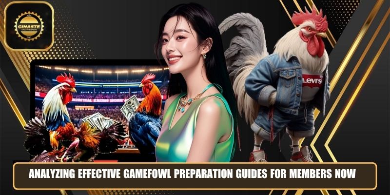 Analyzing effective gamefowl preparation guides for members now