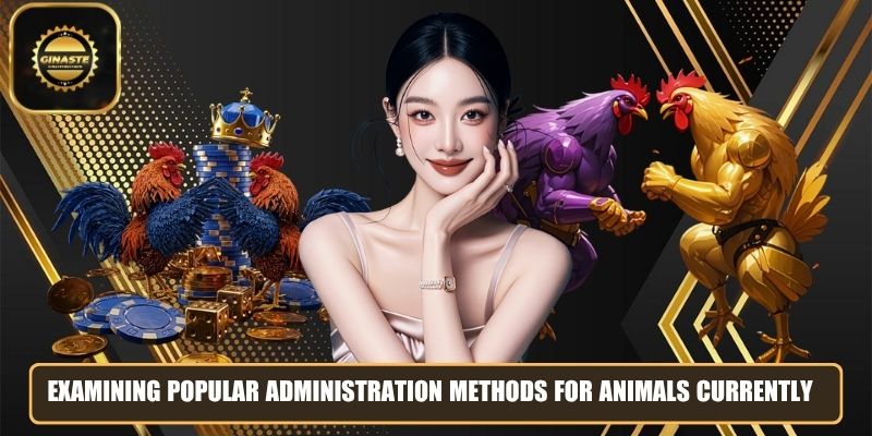 Examining popular administration methods for animals currently