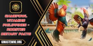 Gamefowl vitamins Philippines