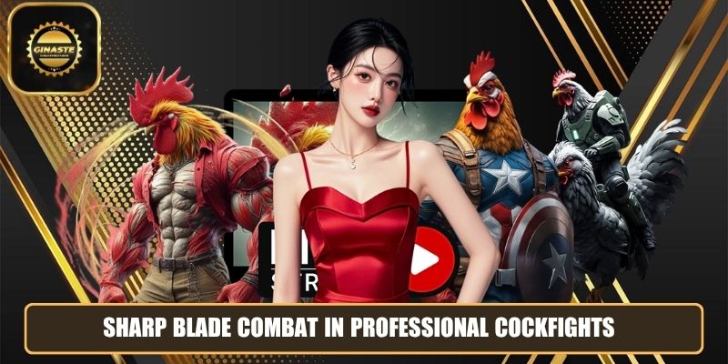 Sharp blade combat in professional cockfights